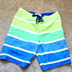Men's Blue and Green Striped Swim Shorts
